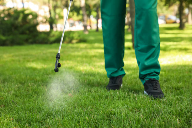 Flea Control Services in Lisbon, ND