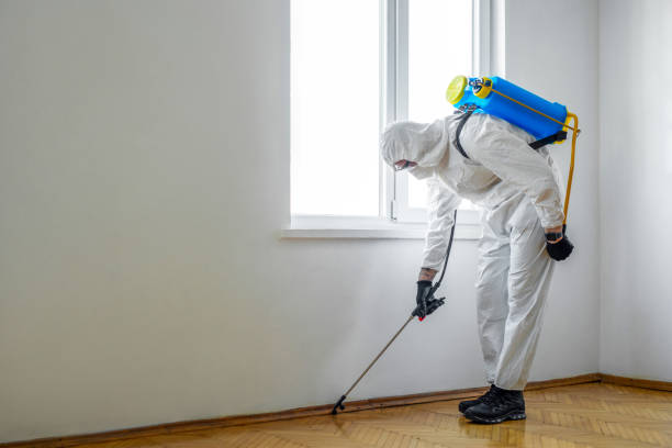 Best Best Pest Control Companies  in Lisbon, ND