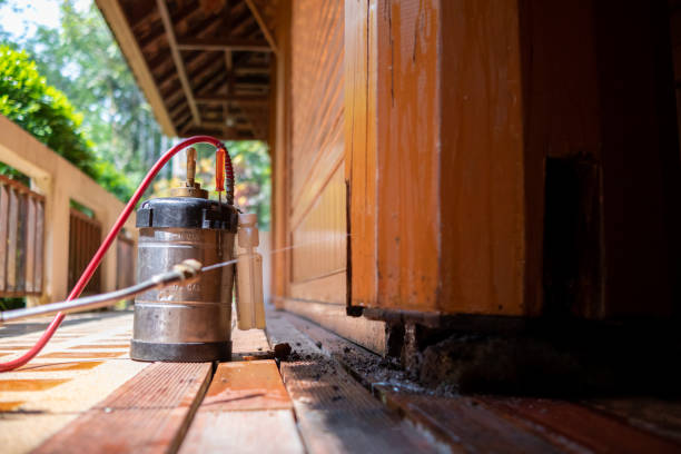 Best Cockroach Control Services  in Lisbon, ND