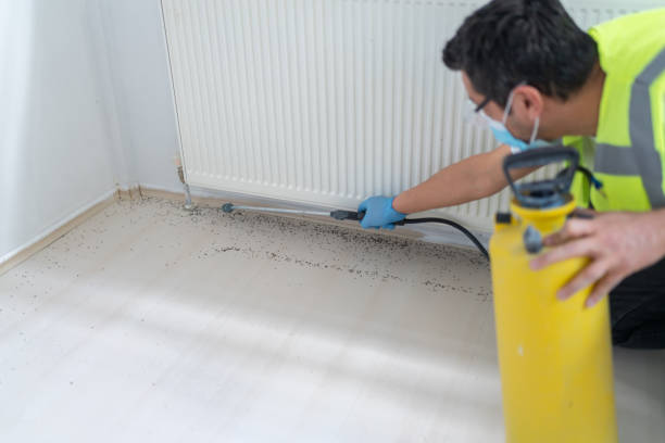 Best Best Pest Control Companies  in Lisbon, ND