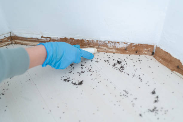 Lisbon, ND Pest Control Company