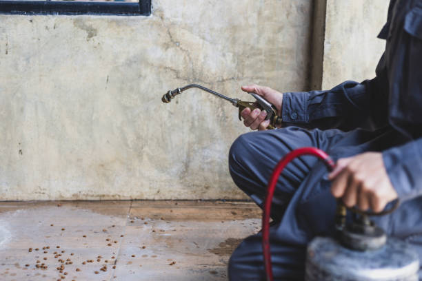 Best Local Pest Control Services  in Lisbon, ND